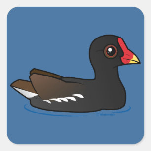 Sticker Carré Moorhen