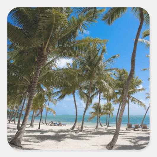 Sticker Carré Moorings Resort, Marathon, Key West, 2 (Devant)