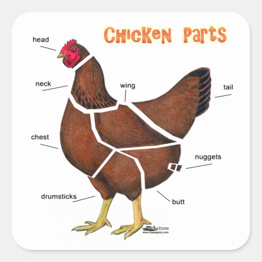 Sticker Carré Morceaux de poulet (Devant)