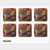 Sticker Carré Mother & Baby Orangutan (Feuille)
