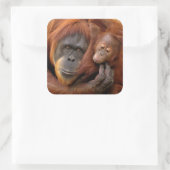 Sticker Carré Mother & Baby Orangutan (Sac)