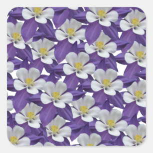 Sticker Carré Motif de fleurs Columbine