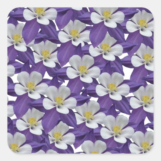 Sticker Carré Motif de fleurs Columbine (Devant)