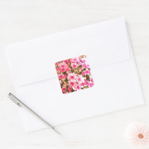 Sticker Carré Motif de floraison florale rose – Conception botan
