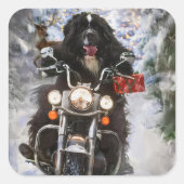 Sticker Carré Moto à chiens de Terre-Neuve Noël (Devant)