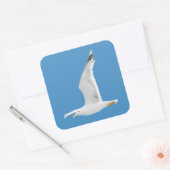 Sticker Carré Mouette volante (Enveloppe)