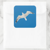 Sticker Carré Mouette volante (Sac)