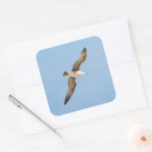 Sticker Carré Mouette volante (Enveloppe)