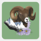 Sticker Carré Mouflon canadien (Devant)