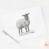 Sticker Carré Mouflon de dessin (Enveloppe)