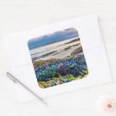 Sticker Carré Moules (Enveloppe)