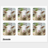 Sticker Carré Mouton montrer langue (Feuille)