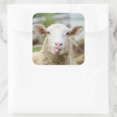 Sticker Carré Mouton montrer langue (Sac)