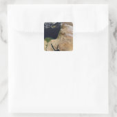 Sticker Carré Moyen-Orient (Sac)