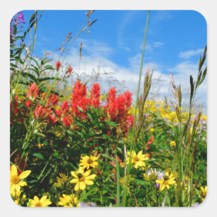 Sticker Carré Mt. Fleur sauvage