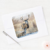 Sticker Carré Mule Deer Buck et Doe (Enveloppe)