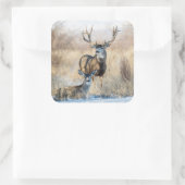 Sticker Carré Mule Deer Buck et Doe (Sac)