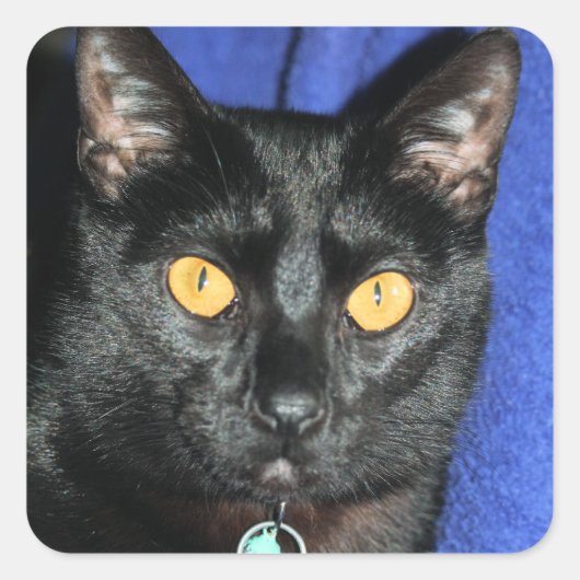 Sticker Carré Murphy (Devant)