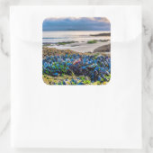 Sticker Carré Mussels (Sac)