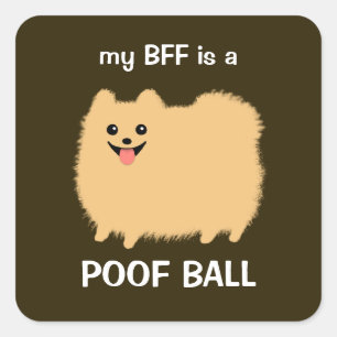 Sticker Carré My BFF est un ballon de poof - Fluffy Pomeranian C