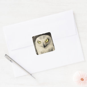 Sticker Carré Mysterious Owl Newspaper Print - Folklore Vintage