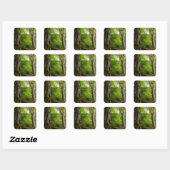 Sticker Carré Mystic Forset (Feuille)