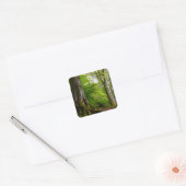 Sticker Carré Mystic Forset (Enveloppe)