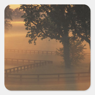 Sticker Carré NA, États-Unis, Kentucky. Lever de soleil brumeux