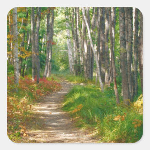 Sticker Carré NA, États-Unis, Maine. Sentier Jessup à Acadia Na