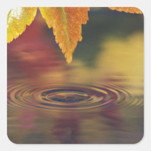 Sticker Carré NA, États-Unis, Pacifique Nord-Ouest