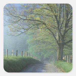 Sticker Carré NA, États-Unis, Tennessee, Cades Cove, Great Smoky