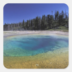 Sticker Carré NA, États-Unis, Wyoming, Parc national de Yellowst