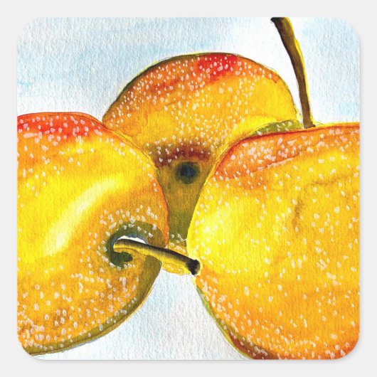 Sticker Carré Nashi poires jaune aquarelle fruit (Devant)