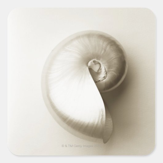 Sticker Carré Nausolée perlée 2 (Devant)