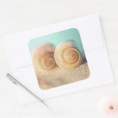 Sticker Carré Nautilus Shells (Enveloppe)