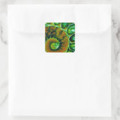 Sticker Carré Nautilus vert (Sac)