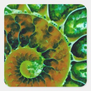 Sticker Carré Nautilus vert