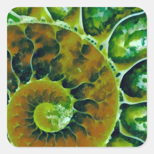Sticker Carré Nautilus vert (Devant)