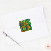 Sticker Carré Nautilus vert (Enveloppe)