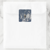 Sticker Carré Navette spatiale Endeavor 10 (Sac)
