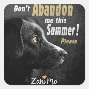Sticker Carré Ne m’abandonnez pas cet été - Protection des chien