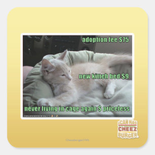 Sticker Carré Ne plus jamais vivre dans une cage