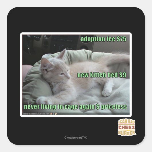 Sticker Carré Ne plus jamais vivre dans une cage (Devant)