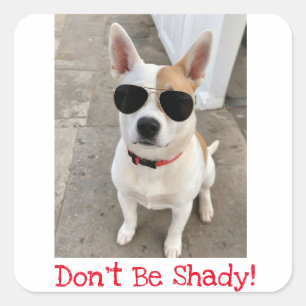Sticker Carré Ne soyez pas Ombré mignon Aimant Chien