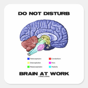 Sticker Carré Ne touchez pas au cerveau au travail (l'humour