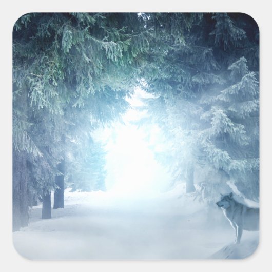 Sticker Carré Neige d'hiver avec loups en forêt À feuillage pers (Devant)