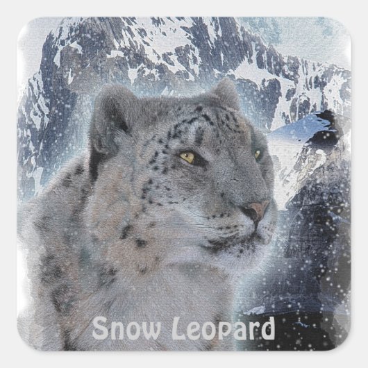 Sticker Carré NEIGE LEOPARD Espèces menacées de Gros Chat (Devant)