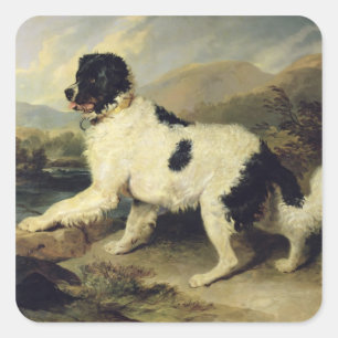 Sticker Carré Newfoundland Dog Called Lion, 1824 (oil on canvas)
