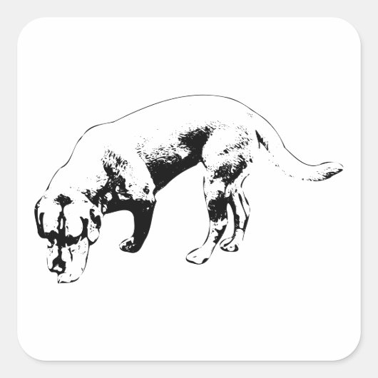 Sticker Carré Nez constant au sol (Devant)