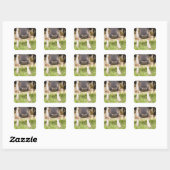 Sticker Carré Nez de vache (Feuille)